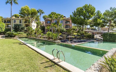 This luxurious ground floor flat with garden is situated in a sought-after location in Camp de Mar in the Andratx region in the south-west of Mallorca in the luxury residence ZINNIA OCEAN. Only the highest quality materials have been used. The proper...