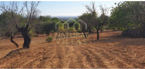 Mixed Terrain with Fantastic Sea View in Estoi, Algarve. This is the unique opportunity you've been waiting for: a mixed terrain with an unobstructed and magnificent sea view in Estoi, Faro, Algarve. Urban Plot: With 150m2, it is possible to build a ...