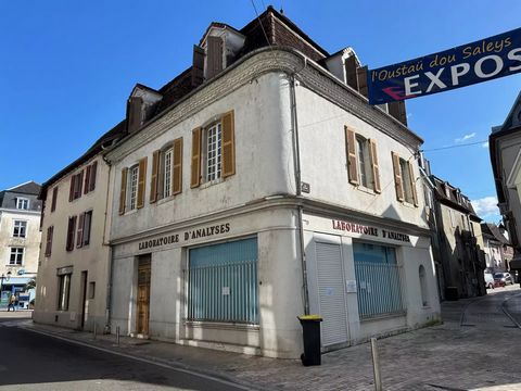 This commercial unit, with two apartments on first and second floor levels, has served as the town's laboratory for the past 25 years. In need of some refreshing, the property offers a 50m² client reception area with separate office and WC on the gro...