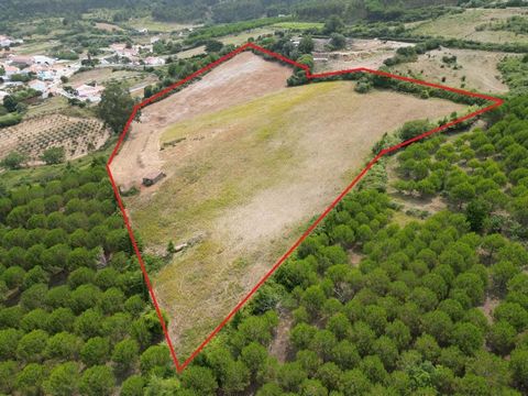 Terreno com 22.000m2 com PIP aprovado para uma moradia T4 e outro para Turismo Rural mas com possibilidade para construir mais habitações. Fica situado em Pragança e tem uma vista panorâmica de cortar a respiração! Parte do terreno possibilita a cons...