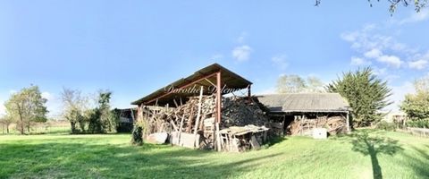 photo no. 2