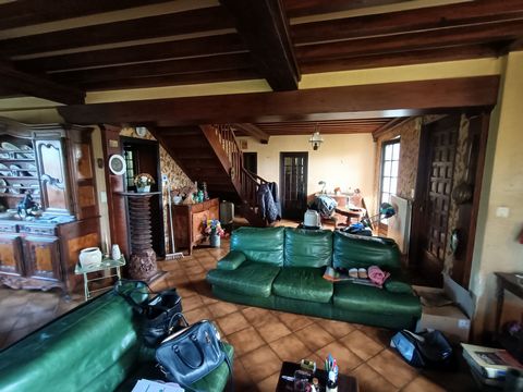 photo no. 12