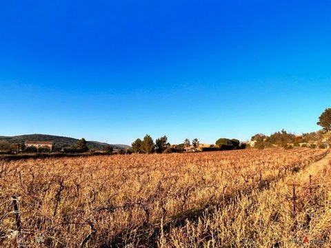 Terrain de 10,600 m² offre un cadre idyllique au cœur d'une région viticole renommée. Ce terrain bénéficie d'un accès facile par un chemin communal. Cette parcelle agricole d'un peu plus d'un hectare est entièrement plantée de vignes Cinsault, offran...