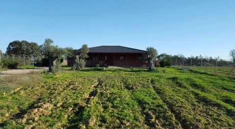 Se vende estupenda Finca entre la carretera de Gibraleón a Trigueros. La casa es prefabricada totalmente equipada, consta de 3 dormitorios, habitación principal con vestidor y baño con hidromasaje, salón, cocina amueblada con despensa, aseo, armarios...