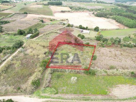 Rustikales Grundstück mit 3000m2 in Amoreira - Óbidos. Gut gelegen und mit guter Anbindung. *Die bereitgestellten Informationen dienen ausschließlich Informationszwecken, sind unverbindlich und schließen eine Rücksprache mit dem Mediator nicht aus.* ...