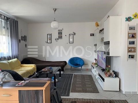 ¡Atención familias pequeñas! Este apartamento en planta baja impresiona por su ubicación tranquila e ideal en Offenbach-Bieber. Disfrute del sol de la tarde en su propia terraza, un relajante paseo por el bosque adyacente, un barrio tranquilo y, sin ...