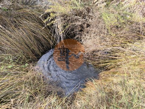 Grundstück mit 21.000 m2 - in Figueirais - Beliche - Castro Marim - Algarve. Land mit flachen Flächen. Guter Zugang. Grundstück mit Johannisbrotbäumen, Kiefern, Feigenbäumen und anderen Bäumen. Es bietet einen Panoramablick auf die Algarve-Berge. Es ...