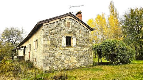 photo no. 17