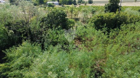 Location: Istarska županija, Labin, Labin. Zum Verkauf steht ein 710 m² großes Baugrundstück in der Nähe von Labin mit einer Baugenehmigung für den Bau eines Luxusferienhauses. Das Grundstück hat eine ebene Fläche und eine regelmäßige Form mit einer ...