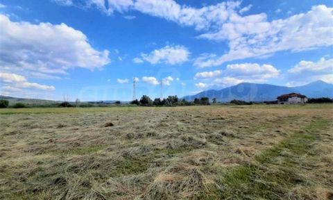 Agenzia SUPRIMMO: ... Proponiamo in vendita un appezzamento di terreno con una superficie di 1600 mq, situato nel villaggio di Banya, zona di Banski Livadi. L'immobile è adatto per l'investimento. Una vista panoramica si rivela da terra. Accanto c'è ...