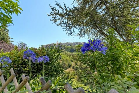 Rare !!! Situé à distance pédestre du magnifique village de Saint-Paul de Vence, au calme absolu, dans une petite copropriété, ce superbe appartement en rez-de-jardin vous séduira par son emplacement de choix, sa vue bluffante 'carte postale' ainsi q...