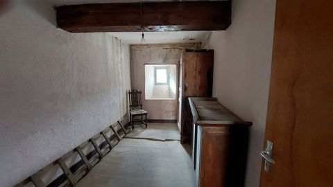 photo no. 15