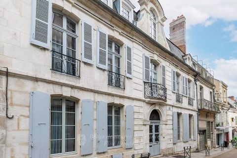 Cet hôtel particulier qui date du XVIIIè siècle est édifié sur l'une des voies les plus anciennes d'Auxerre. Il a été entièrement restauré dans le souci d'associer ses conditions architecturales d'origines, au confort moderne. Il est parfaitement équ...