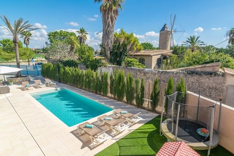 This beautiful home offers a fantastic outdoor space, featuring a private saltwater pool (9x3 meters, depth 1.20-1.60 meters) surrounded by loungers for sunbathing, a relaxation area with sofas, an outdoor dining area for delicious barbecues, and a c...