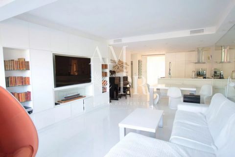 photo no. 8
