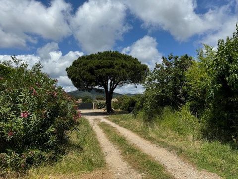 A VENDRE A GRIMAUD, un très beau terrain plat constructible de 5150 M2 divisible en 4 parcelles dans un bel environnement calme sans vis a vis a 5 minutes du village de Grimaud. Il y a également un forage en place. Belle opportunité à saisir rapideme...