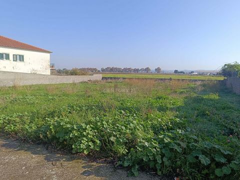 Terreno urbano com 1150m2 e com viabilidade de construção até 350m2. Localizado em pleno coração do ribatejo na típica freguesia da Azinhaga conselho da Golegã, terra natal de José Saramago, venha desfrutar da tranquilidade do ribatejo. Situado a uma...