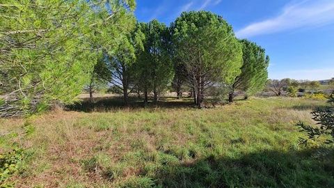 Kom en ontdek dit landbouwperceel van 6370m² genesteld midden in de natuur en bereikbaar met de auto, en ook dicht bij het centrum van het dorp, ideaal voor fruitbomen, olijfbomen, moestuin, u zult profiteren van een ondergrondse waterreserve die al ...