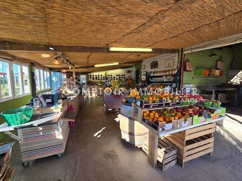 BAILLARGUES proche axe routier très fréquenté, A vendre fonds de commerce de fruits et légumes, fromage, charcuterie, crèmerie mais également produits régionaux d'une surface totale de 90m2. Il se compose d'un espace de vente, d'une réserve pour stoc...