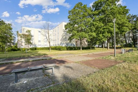 photo no. 11