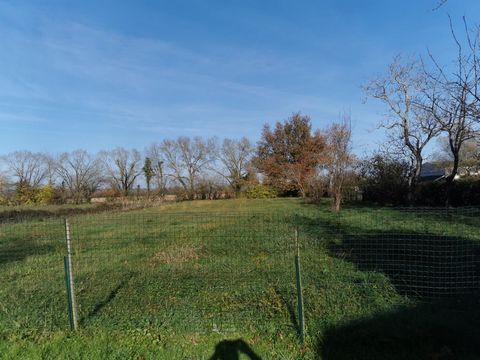 photo no. 19