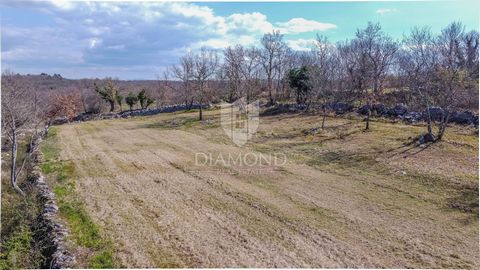 Location: Istarska županija, Buje, Buje. Istrien, Buje Wir bieten ein Baugrundstück am Rande der Bauzone mit einem unglaublichen Blick auf Bujština Region! Das Grundstück hat eine Fläche von 1765 m², ist regelmäßig geformt, hat eine ebene Fläche und ...