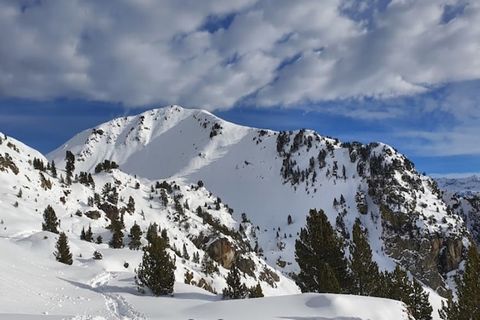 Dit gezellige appartement in het dorp Aster ligt in het charmante Chamrousse 1700 (Domaine de l'Arselle) en biedt een comfortabele uitvalsbasis voor uw vakantie in de bergen. Het appartement ligt op de tweede verdieping, op het zuidwesten, op slechts...