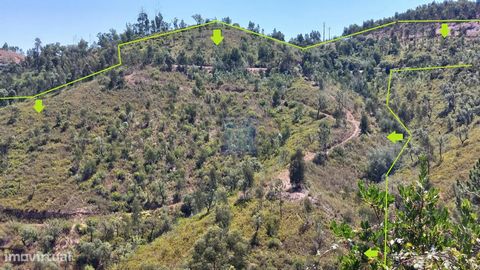 **Herdade Encantadora em Monchique - Oásis de Tranquilidade e Beleza Natural** Descubra esta magnífica quinta de 5,6 hectares situada em Monchique, a apenas 3,5 km do centro da cidade. Com acessos em alcatrão até à propriedade, esta herdade oferece u...