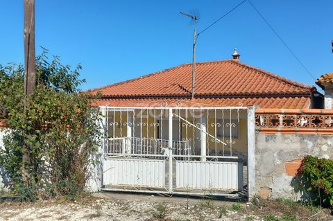 Identificatie van de woning: ZMPT572603 Wonen op het platteland maar dicht bij de stad. Op 4 km van Cartaxo, in de plaats SETIL met een treinstation op 700 m afstand, vindt u deze typische villa die we een huis op het platteland kunnen noemen. Met tw...