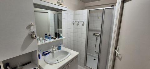 photo no. 12