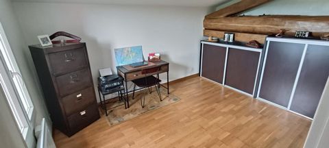 photo no. 12