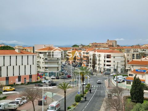 photo no. 8