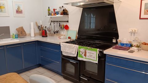 photo no. 13