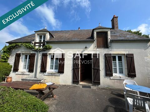 photo no. 11