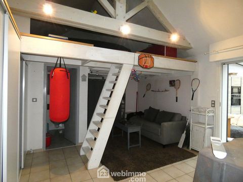 photo no. 11