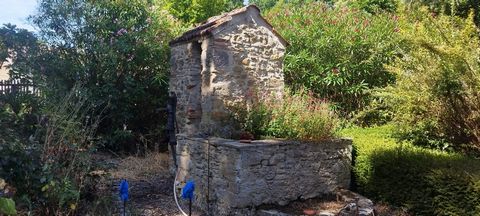photo no. 13