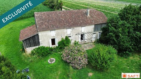 Maison de campagne 3 chambres, dépendance sur terrain 3610m2