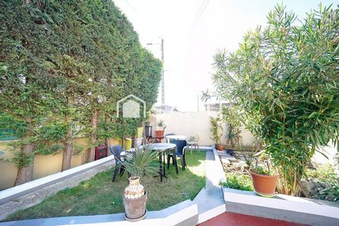 photo no. 13