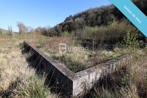 photo no. 2