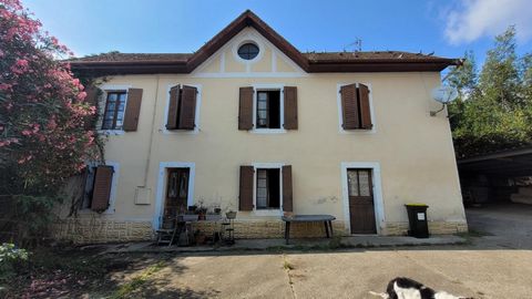 photo no. 12
