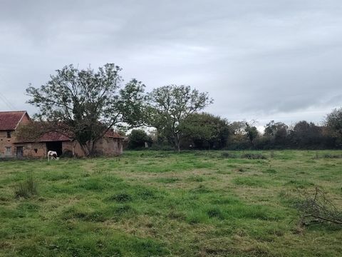 photo no. 10