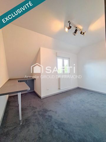 photo no. 12