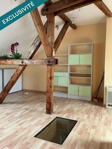 photo no. 11