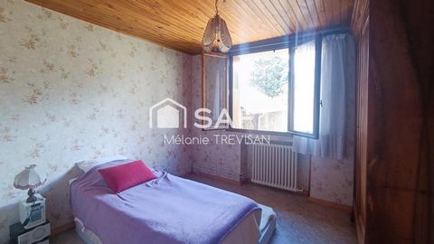 photo no. 6