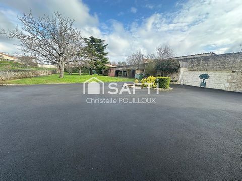 photo no. 13