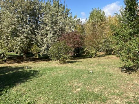 photo no. 12