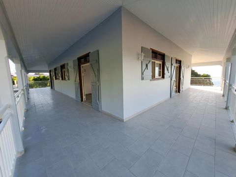 photo no. 12