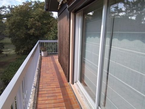 photo no. 13