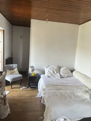 photo no. 12