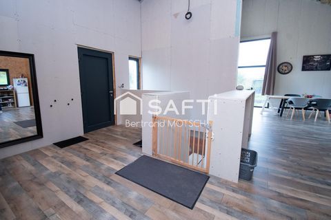 photo no. 4